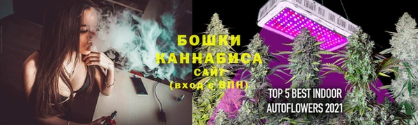 ПСИЛОЦИБИНОВЫЕ ГРИБЫ Новозыбков
