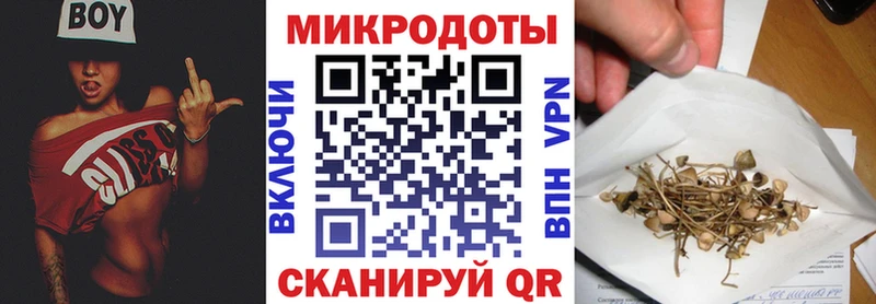 Псилоцибиновые грибы GOLDEN TEACHER  Магадан 