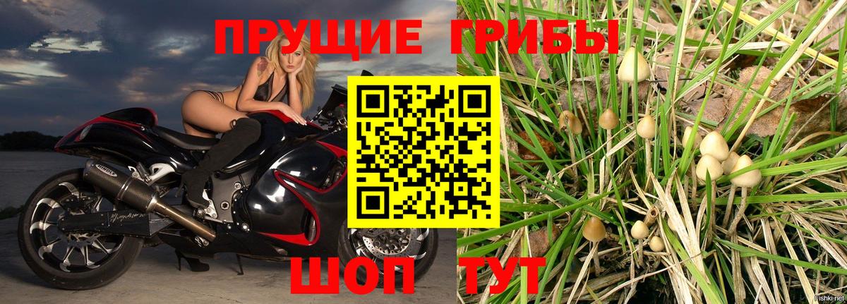 Галлюциногенные грибы Magic Shrooms  Псилоцибиновые грибы GOLDEN TEACHER  Магадан 