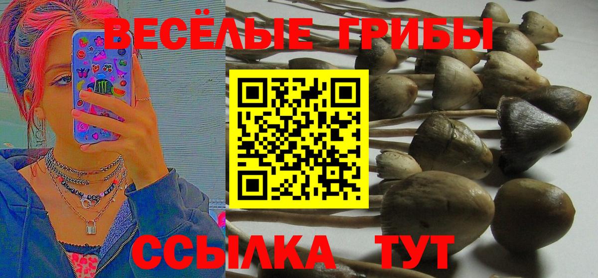 Псилоцибиновые грибы MAGIC MUSHROOMS Магадан