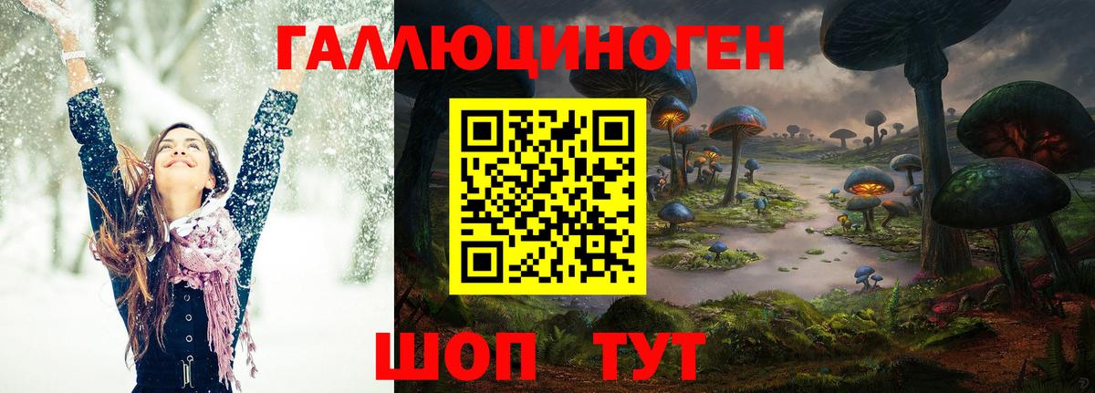 Галлюциногенные грибы GOLDEN TEACHER Магадан