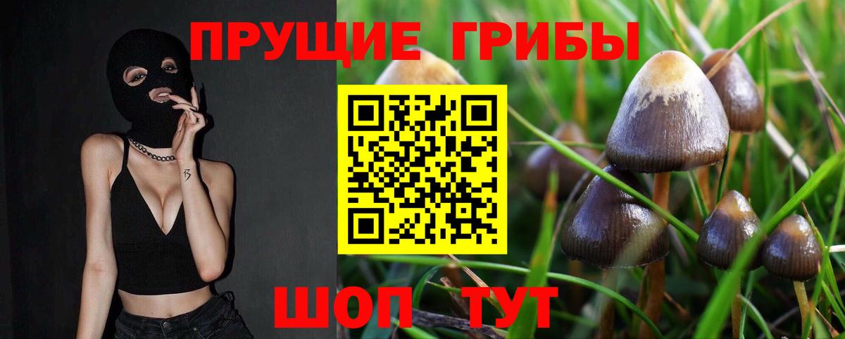 Псилоцибиновые грибы мицелий  Псилоцибиновые грибы мицелий  Вход с VPN  Магадан 